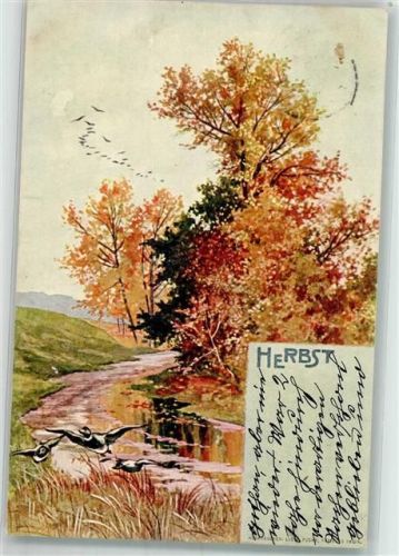 Herbst Gänse
