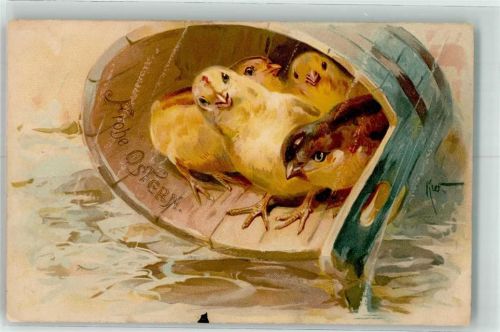 1908 Ostern Küken im Bottich Meissner u. Buch Serie 1356 Küken aus dem Nest