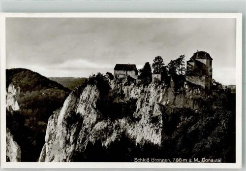 Fridingen Schloss Bronnen