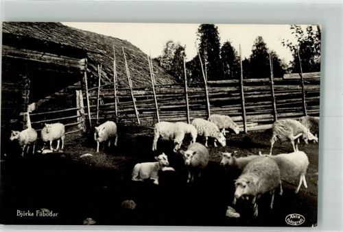 Rättvik Ort lt. Fotograf Schafherde Björka Fäbodar