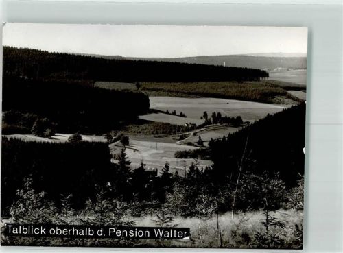 Benfe Foto Original aus Archiv eines Ansichtskartenverlags Talblick oberhalb d. Pension Walter