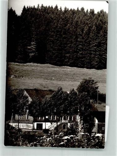 Birkelbach Foto Original aus Archiv eines Ansichtskartenverlags Gasthaus Am Köpfchen Ort handschriftlich