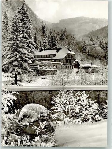 Todtnau Hotel Gasthaus Waldeck Winter