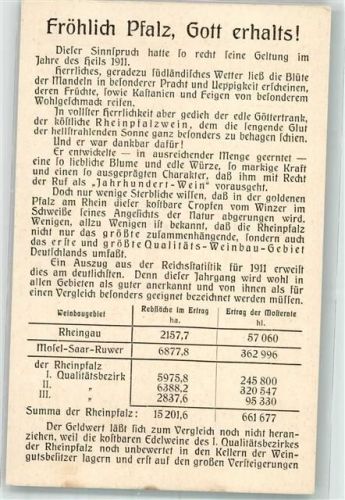 1911 Fröhliche Pfalz Informationskarte