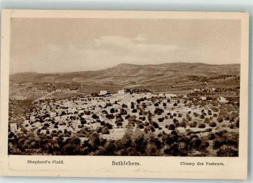 Bethlehem Shepherd´s Field
