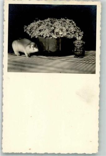 Figur Zahnstocher Blumen
