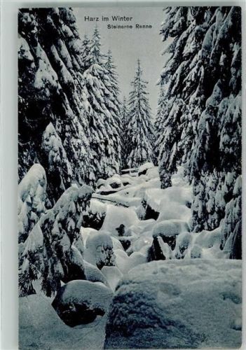 Ilsenburg 1912 Harz Steinerne Renne