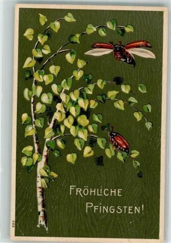 1900 Birkenbaum Pfingsten