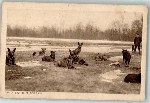 Feld-Postexped. K. B. Reserve Division 26.12.16 Wohlfahrts-Postkarte