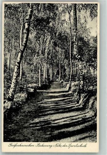 Gräfenhainichen Birkenweg