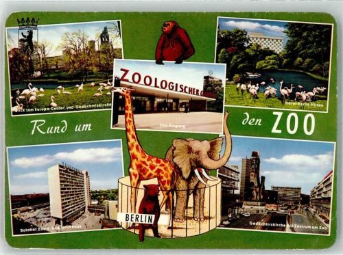 Tiergarten Flamingos Bahnhof Zoo Gedächtniskirche Giraffe Elefant Bär Autos