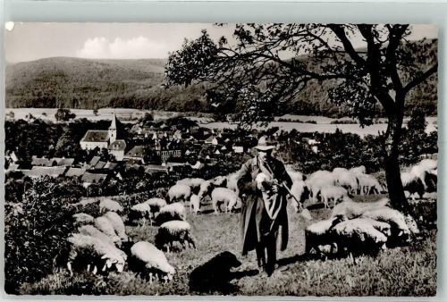 Bad König Schäfer mit Schafherde Schäferhund