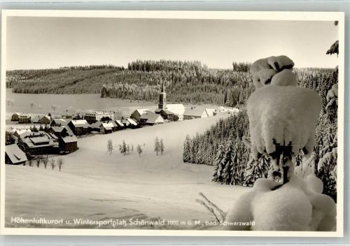Schönwald Winter
