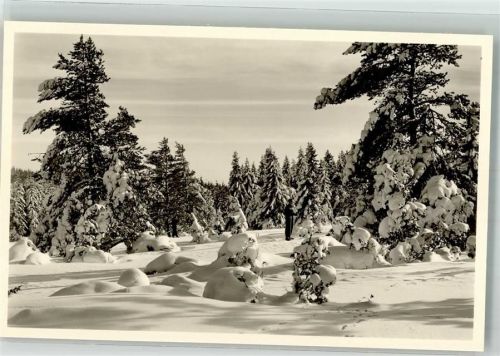 Gosheim Winter