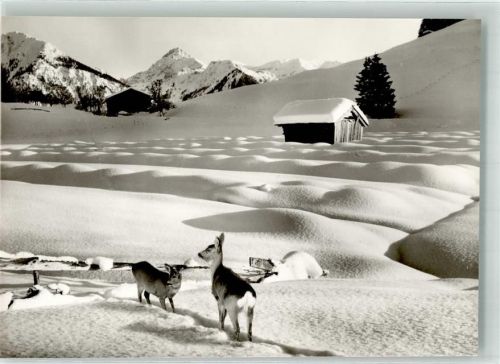 Tiefenbach Winter Am Weg nach Wasach