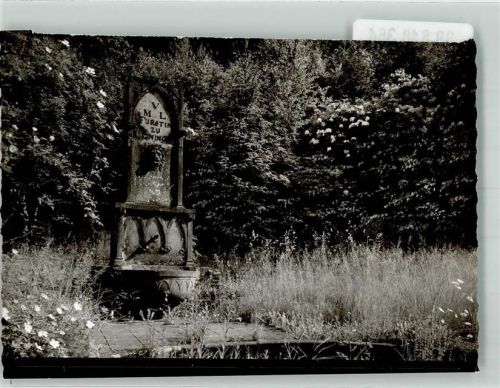 Waldleiningen Denkmal Schloss Ort handschriftlich Foto Original aus Archiv eines Ansichtskartenverlags