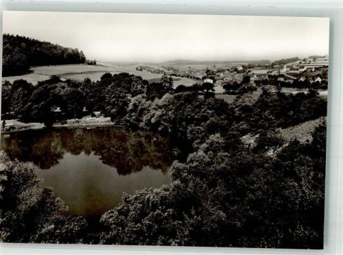 Frickenhausen See