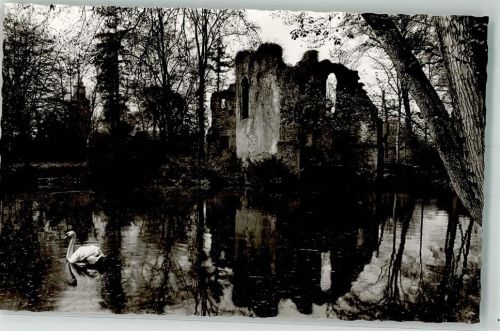 Aschaffenburg Burg Schöntal Ruine