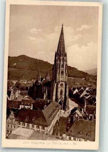 Freiburg Das Münster