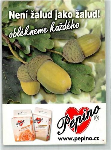 Pepino Neni zalud jako zalud