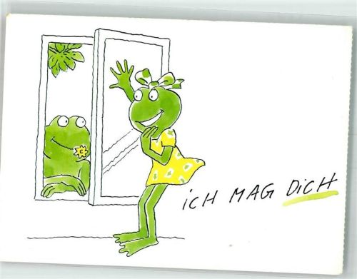 Frosch Reinigungsmittel