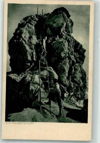 Leiter am Steinschartenkopf Im Heilbronner Weg-Gebiet Bergsteiger