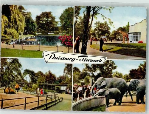 Duisburg Giraffe Elefanten Kamel Kinder