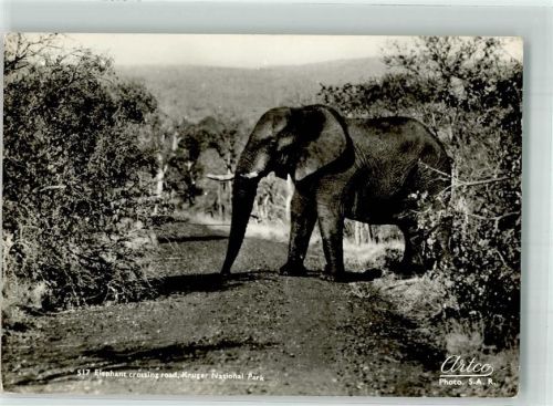 Kruger National Park Artco Nr.513