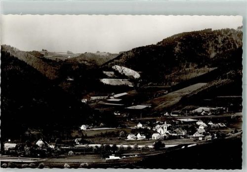 79256 W7801 Buchenbach , Breisgau Foto AK