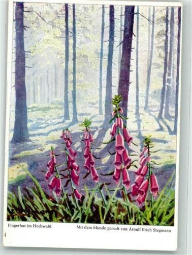 sign. Stegmann Arnulf Erich Fingerhut im Hochwald Dennoch-Verlag Nr. 368