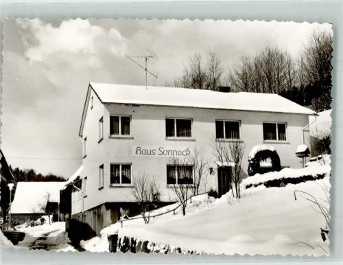 Ellenbach Winter Pension Sonneck Gras Foto AK