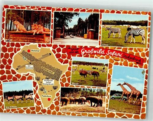 Stukenbrock 1979 Senne-Grosswild-Safari Löwen Zebras Elefanten Giraffen VW Käfer