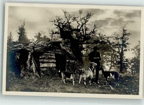 Hirte Hütte Bayerwaldhirten