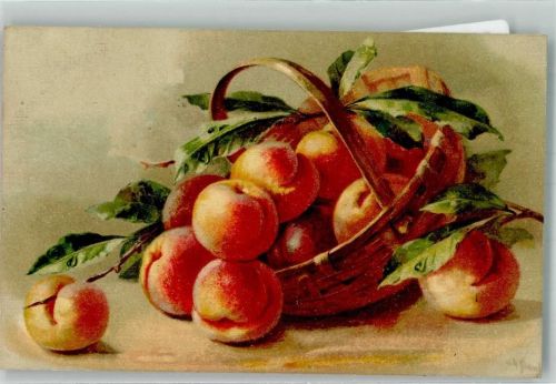 1921 Stillleben Pfirsiche