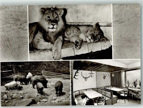 Oberndorf Gasthaus Raststätte Superstübchen Löwen Wildschweine