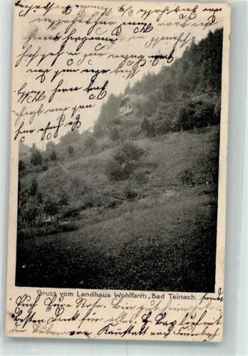 Bad Teinach 1909 Pension Gasthaus Landhaus Wohlfarth