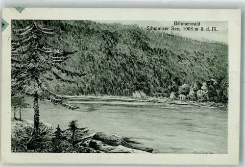 Zelezná Ruda 1913 sign. Schweitzer Schwarzer See im Böhmerwald