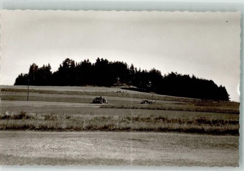 Zandt Mit Tannen bewaldeter Hügel Foto Original aus Archiv eines Ansichtskartenverlags Ort handschriftlich