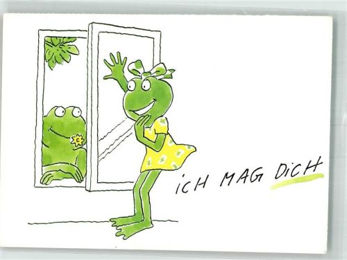 Frosch Reinigungsmittel