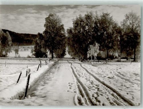 Wilhelmsdorf Ringenburg Foto Schäfer, G. Riedlandschaft