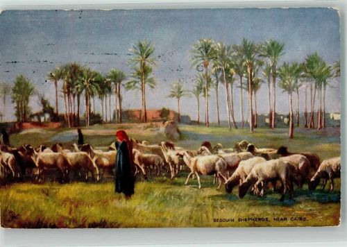 Kairo 1905 sign. Oilette Tuck und Sons Nr. 7202 Bedouin Shpepheros