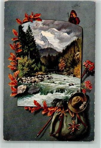 1909 Passepartout Rucksack Wanderstock Hut mit Edelweiß + Schmetterling T.S.N. Serie 908