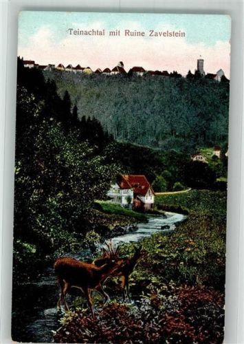 Bad Teinach 1908 Ruine Zavelstein
