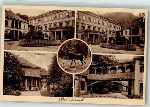 Bad Teinach 1927 Trinkhalle Kurhaus Wildtier