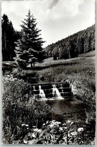Buhlbach
