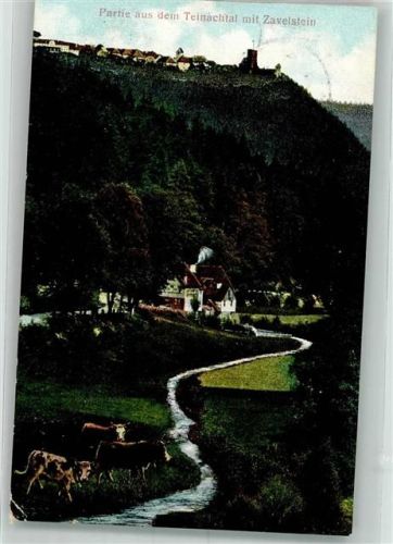 Zavelstein 1906 Burgruine Zavelstein mit Teinachtal Fotograf Fuchs