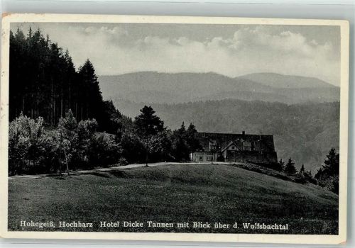 Hohegeiß 1939 Hotel Dicke Tannen mit Wolfsbachtal
