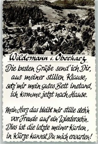 Wildemann