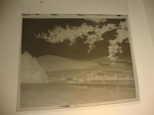 Malges Negativ