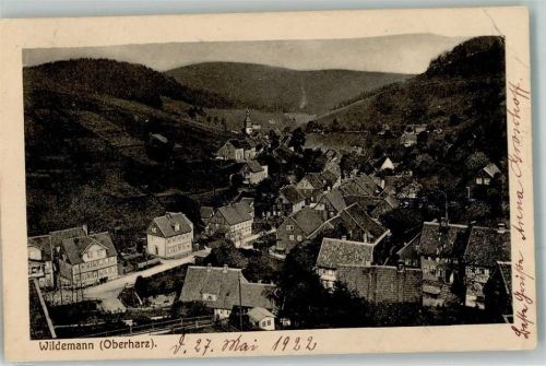 38709 W3391 Wildemann 1922 Foto AK